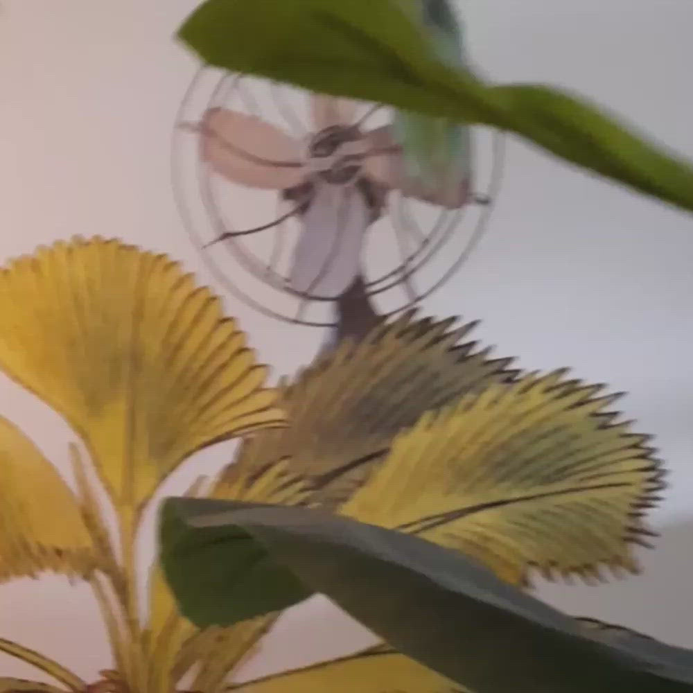 Hölzerne Wandleuchte Kinderzimmer | Elefant 3D - natur Wandleuchte toddie.de